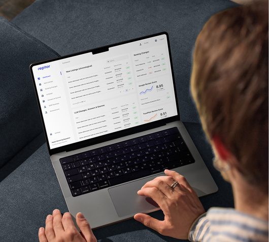 Webdesign Reptor
