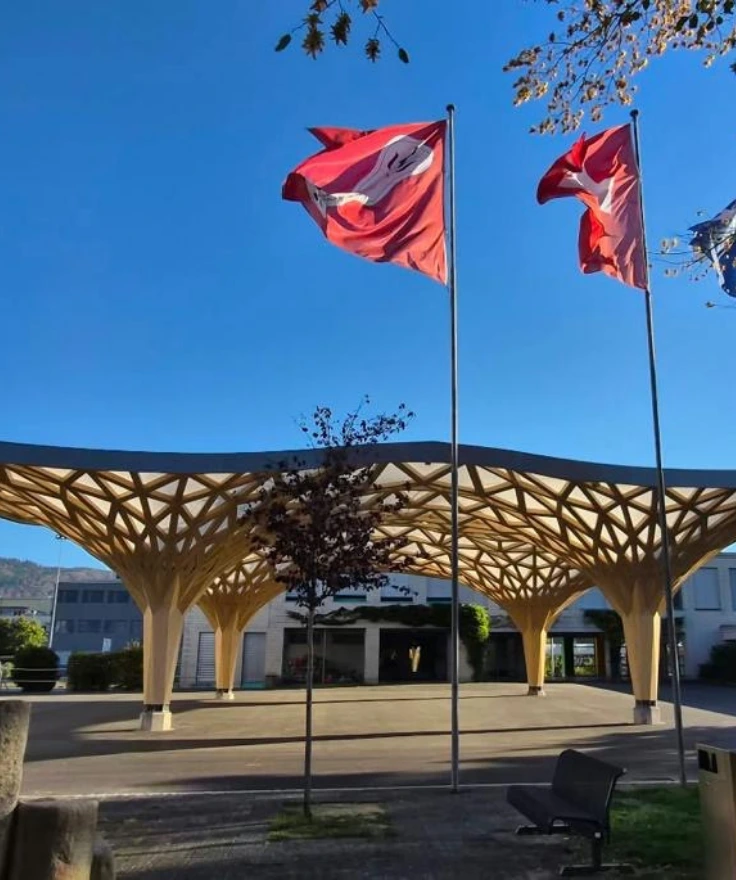 Stein Pavilion Canopy - Polyned