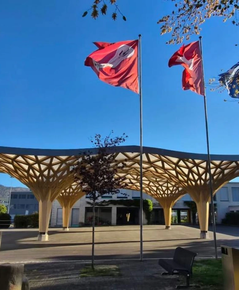 Stein Pavilion Canopy - Polyned