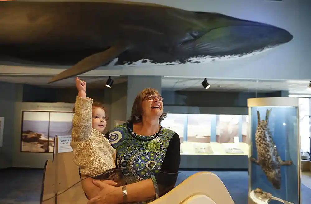 A woman and child look at exhibits at the Museum of Natural History in Halifax.