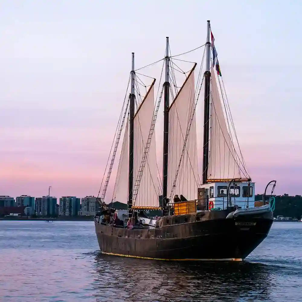 The Tall Ship Silva sails on the Halifax Harbour against a beautiful sunset sky.