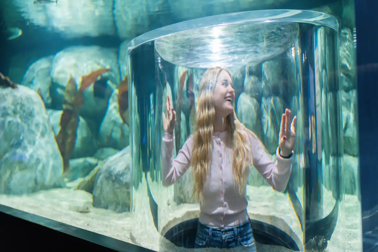 A smiling person checks out the exhibits and sea life at the Beaty Centre for Marine Biodiversity.