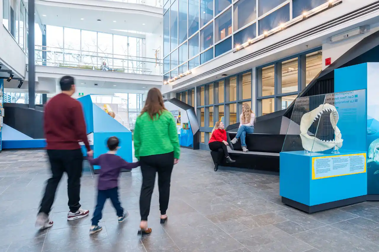 Three people, a family, check out the exhibits and sea life at the Beaty Centre for Marine Biodiversity.