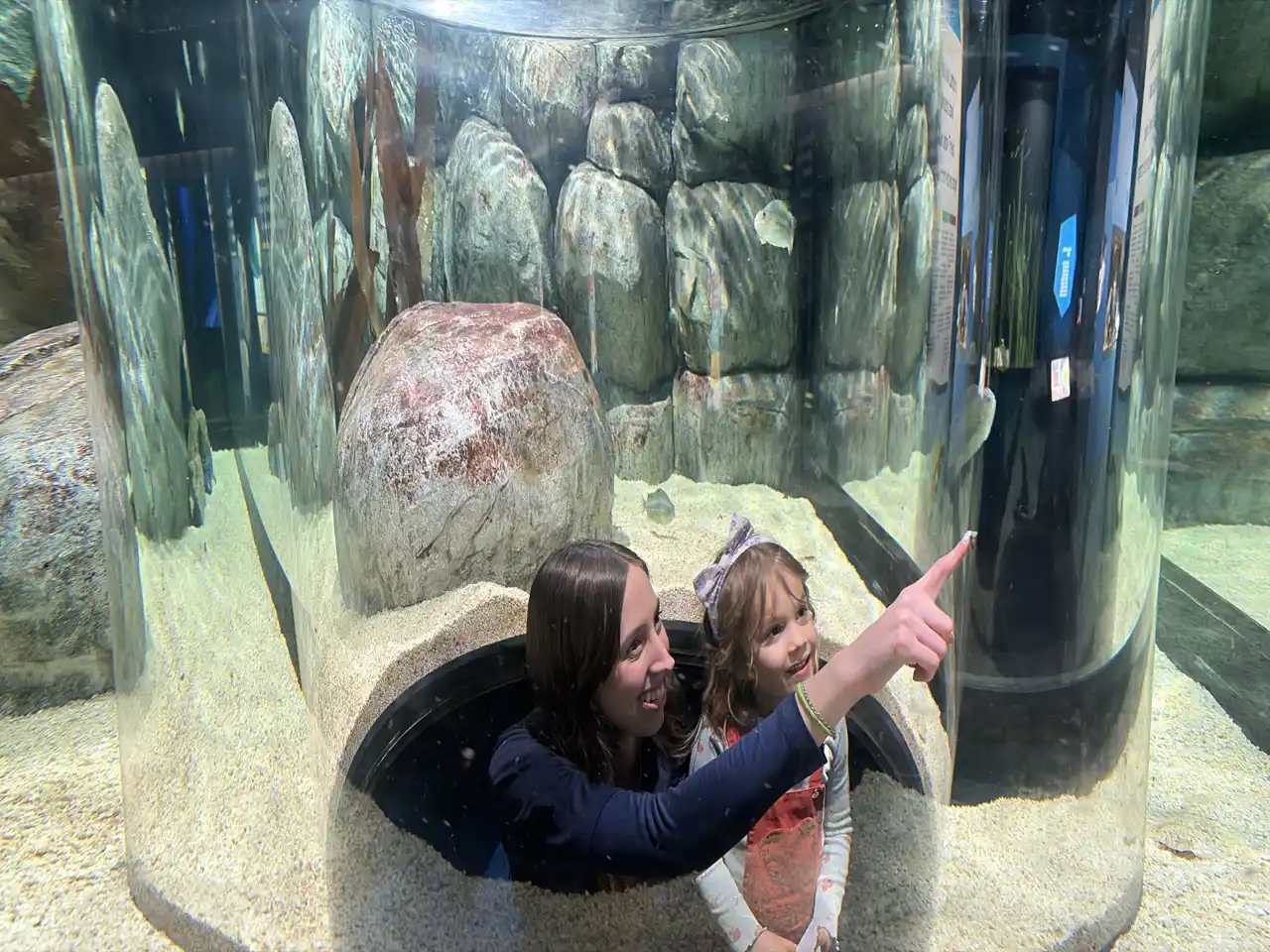 Two smiling people check out the exhibits and sea life at the Beaty Centre for Marine Biodiversity.
