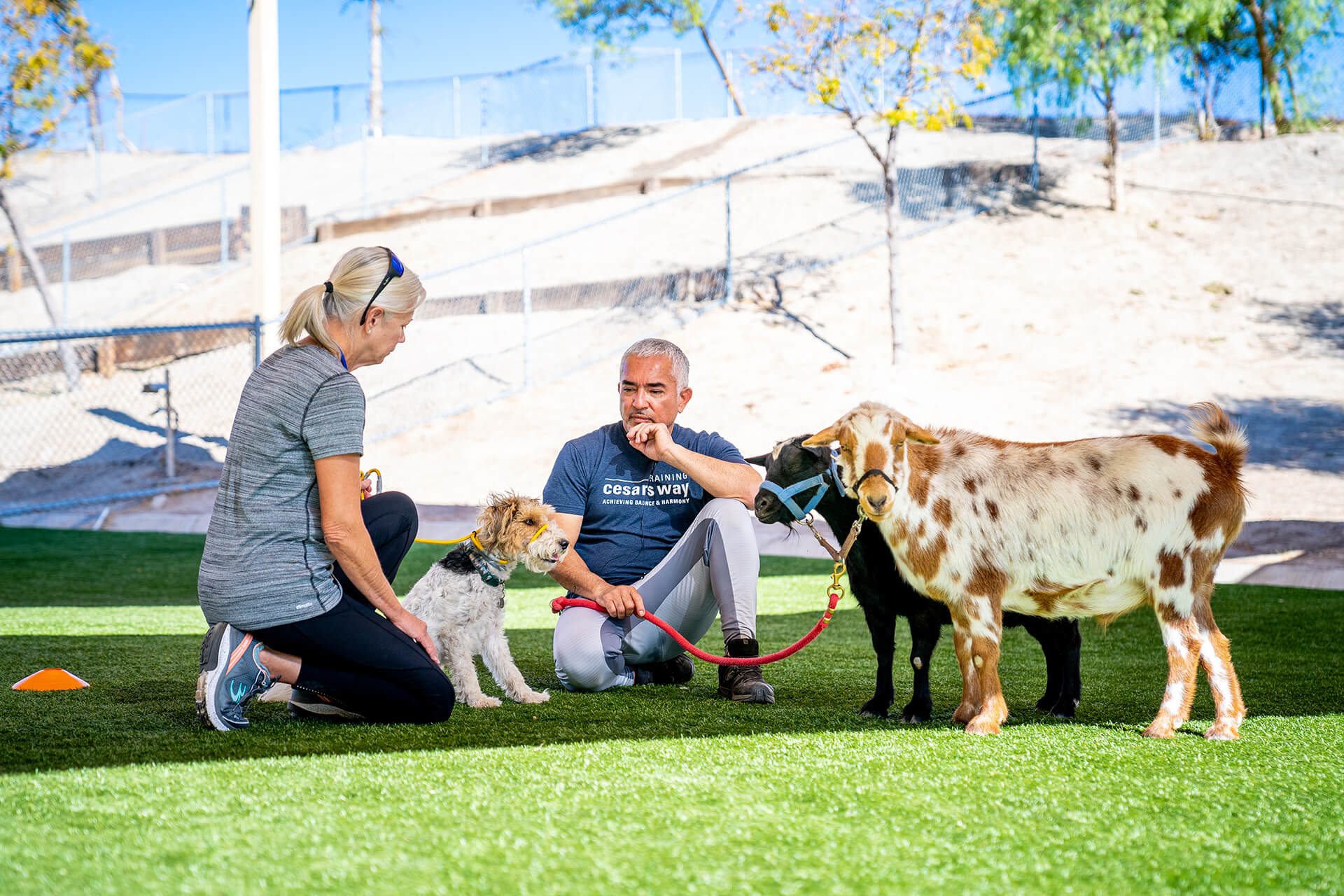 Cesar Millan with a dog