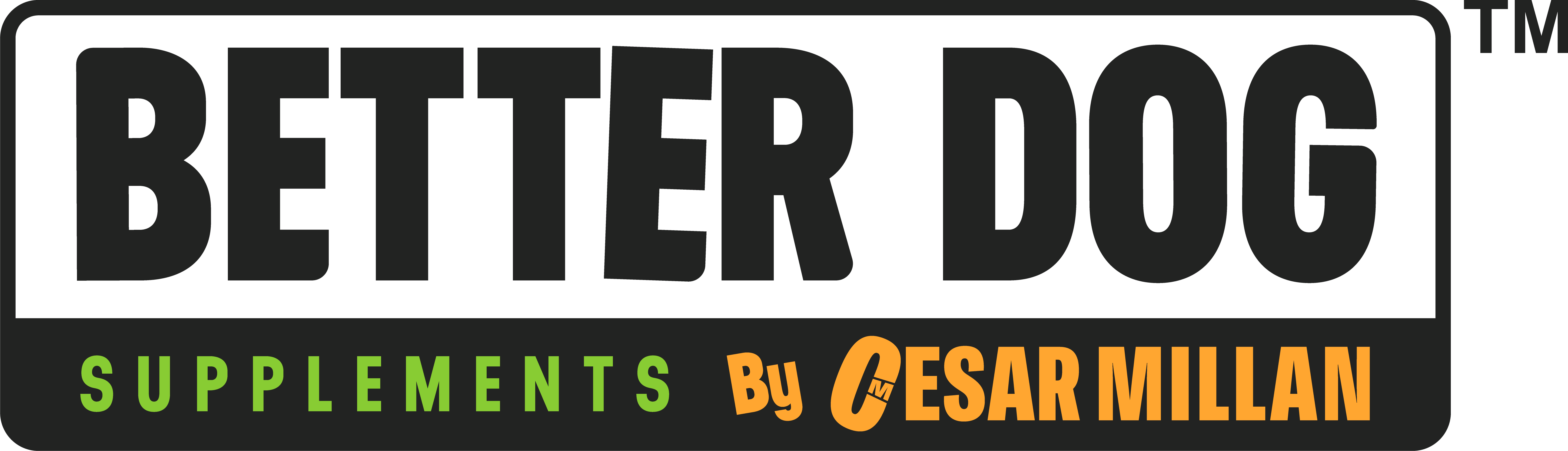 Sacco International logo