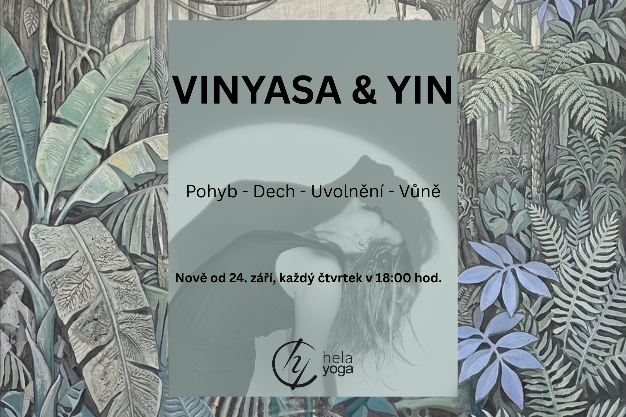VINYASA & YIN
