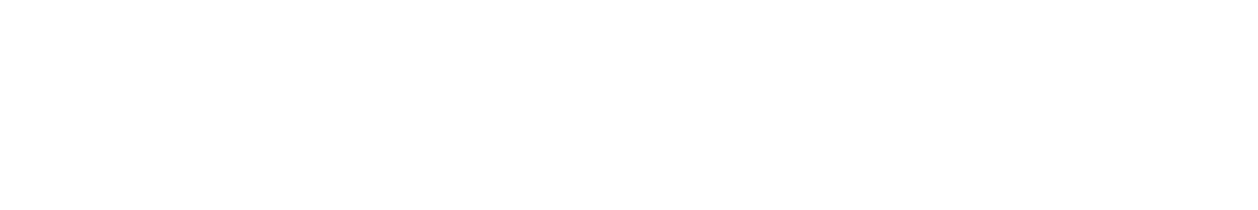 REINZ