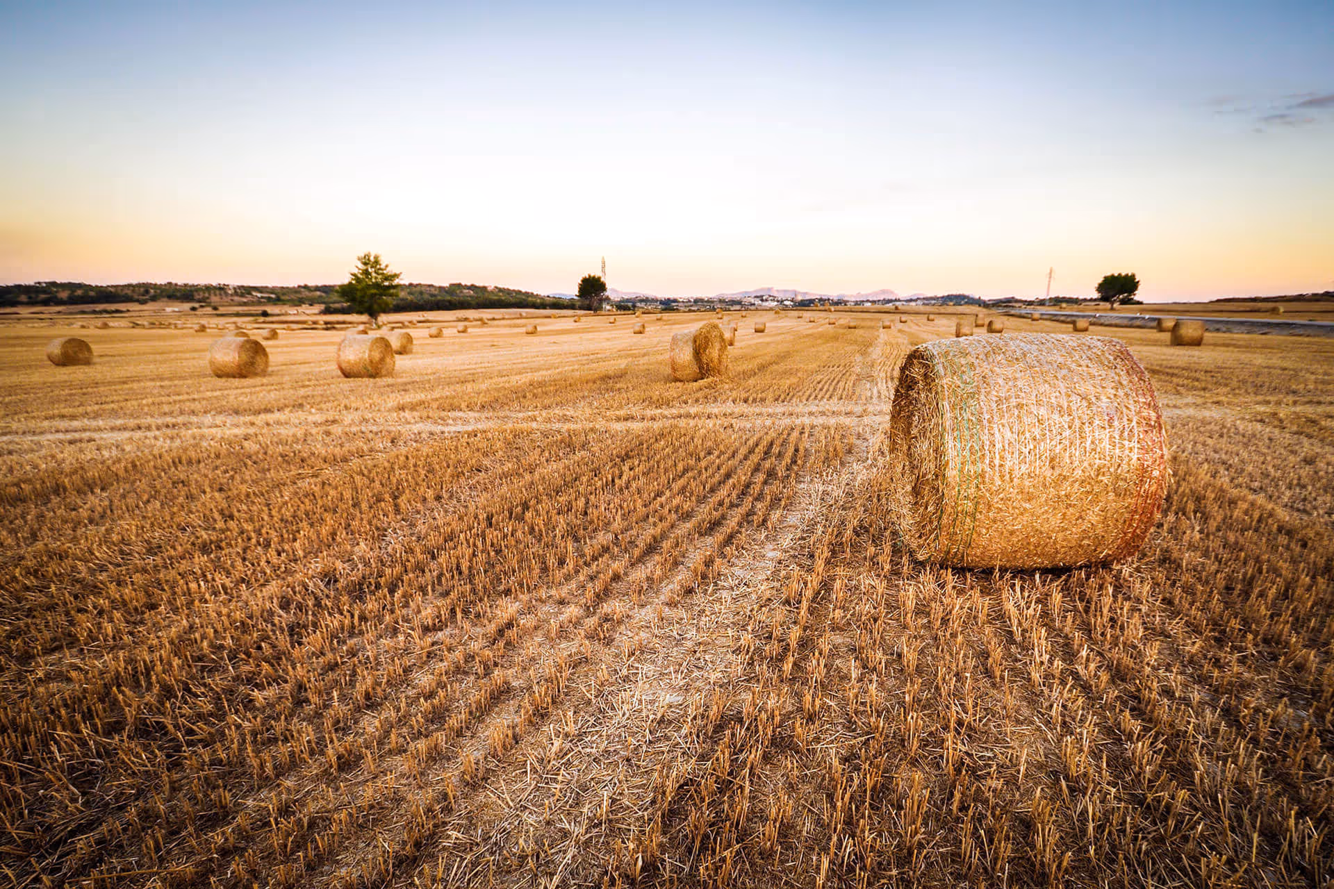 a field with bales of hay in the middle of it