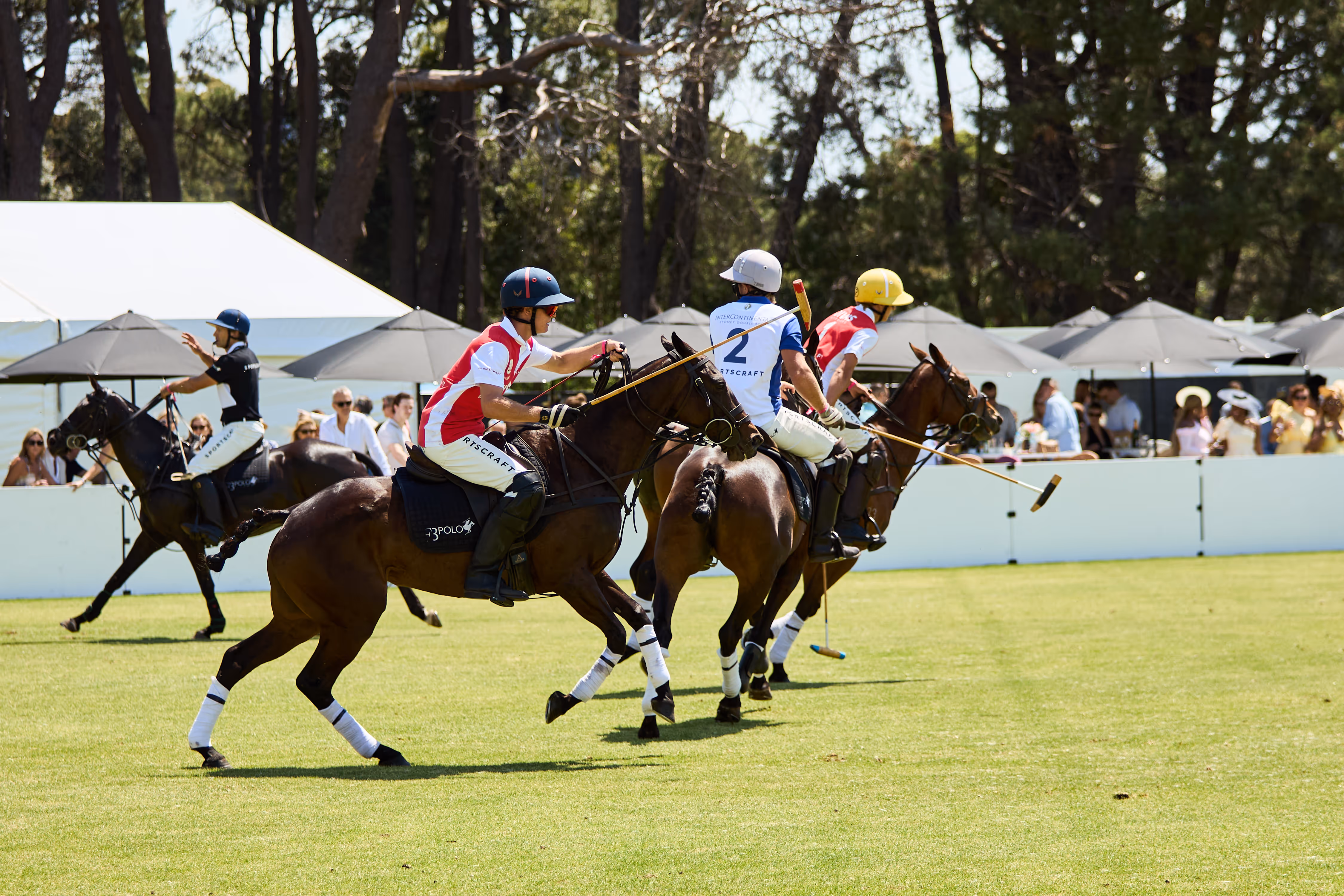 A Memorable Day at Sydney F3 Polo 2025 
