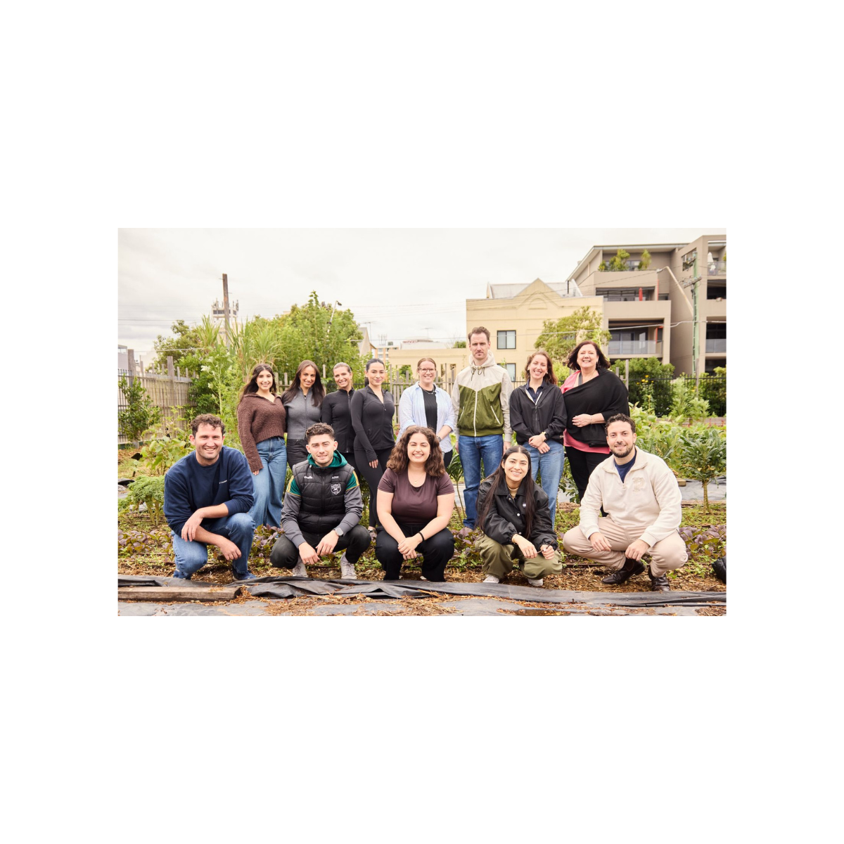 Stanton & Stanton Team Volunteers at Pocket City Farms, Camperdown's Urban Farm and Community Garden