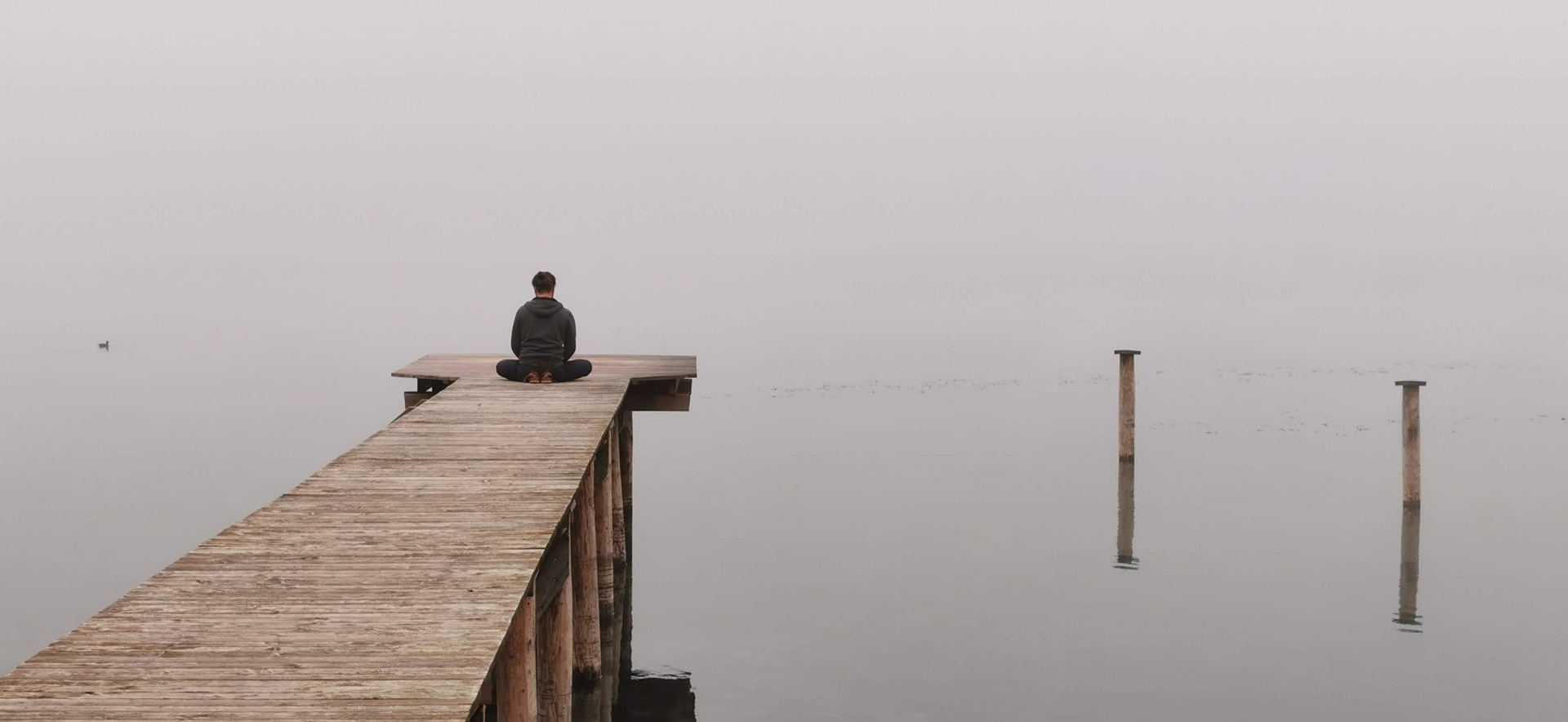 A quiet moment of reflection