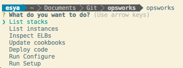 Screenshot image OpsWorks CLI