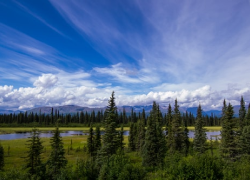 Magic of london tour 2