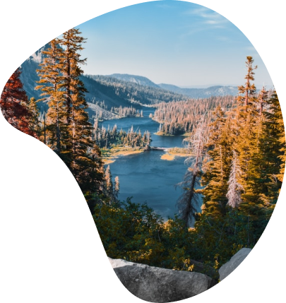 trending background image