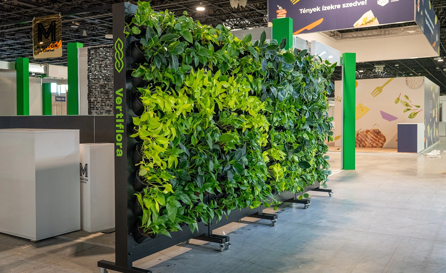 Bérelt zöldfal hungexpon