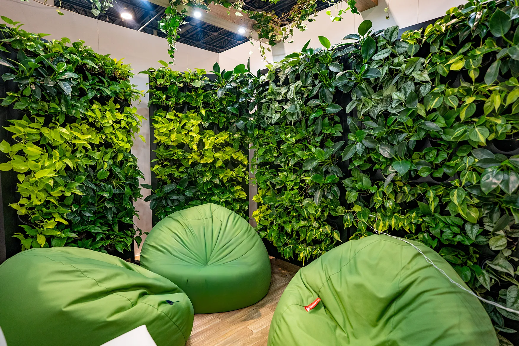 hungexpora bérlet zöldfal