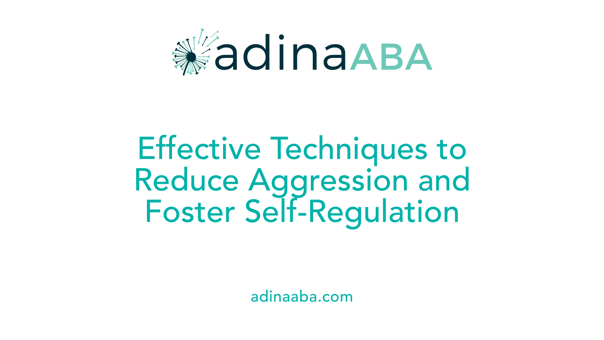 Effective Techniques to Reduce Aggression and Foster Self-Regulation