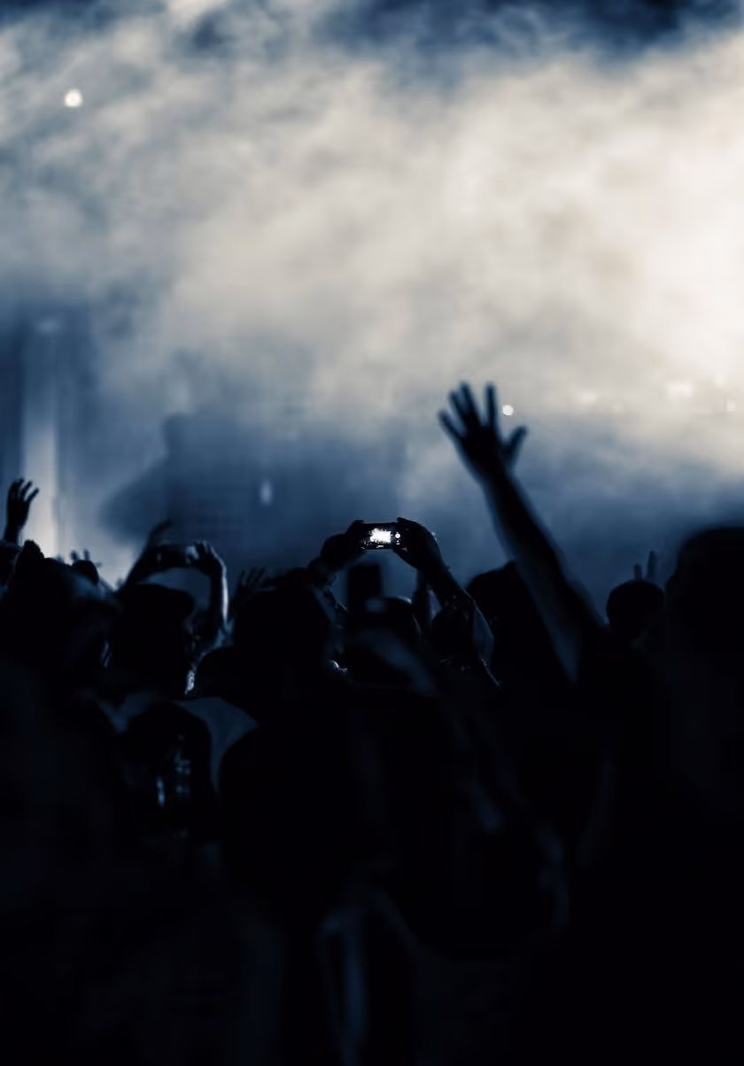 smokey picture of a crowd of fans
