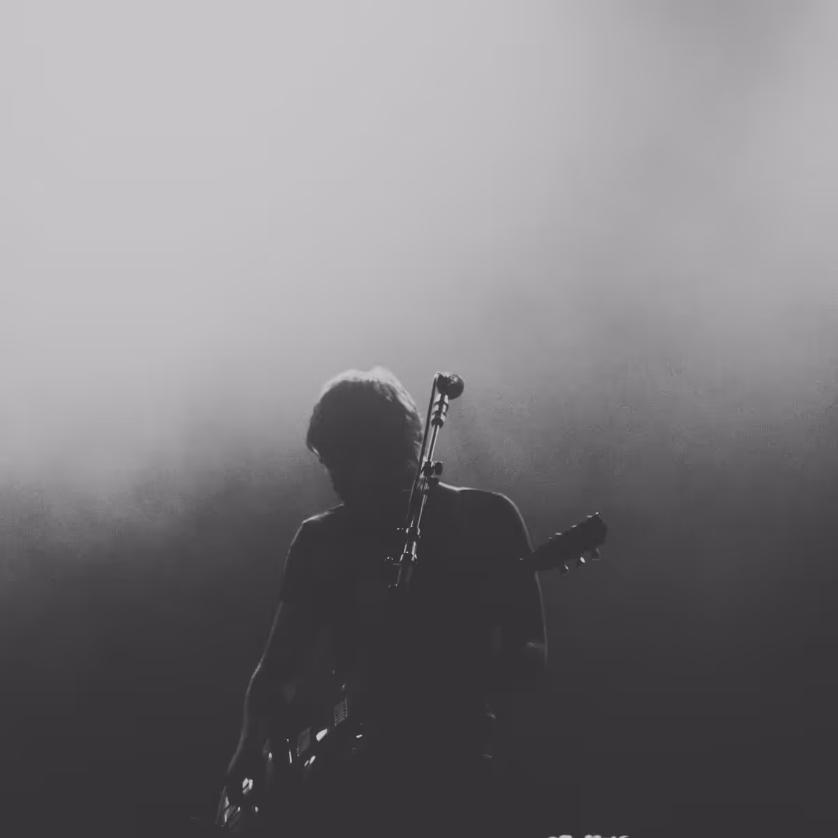 The Icons premium artist experience by BR Marketing Group