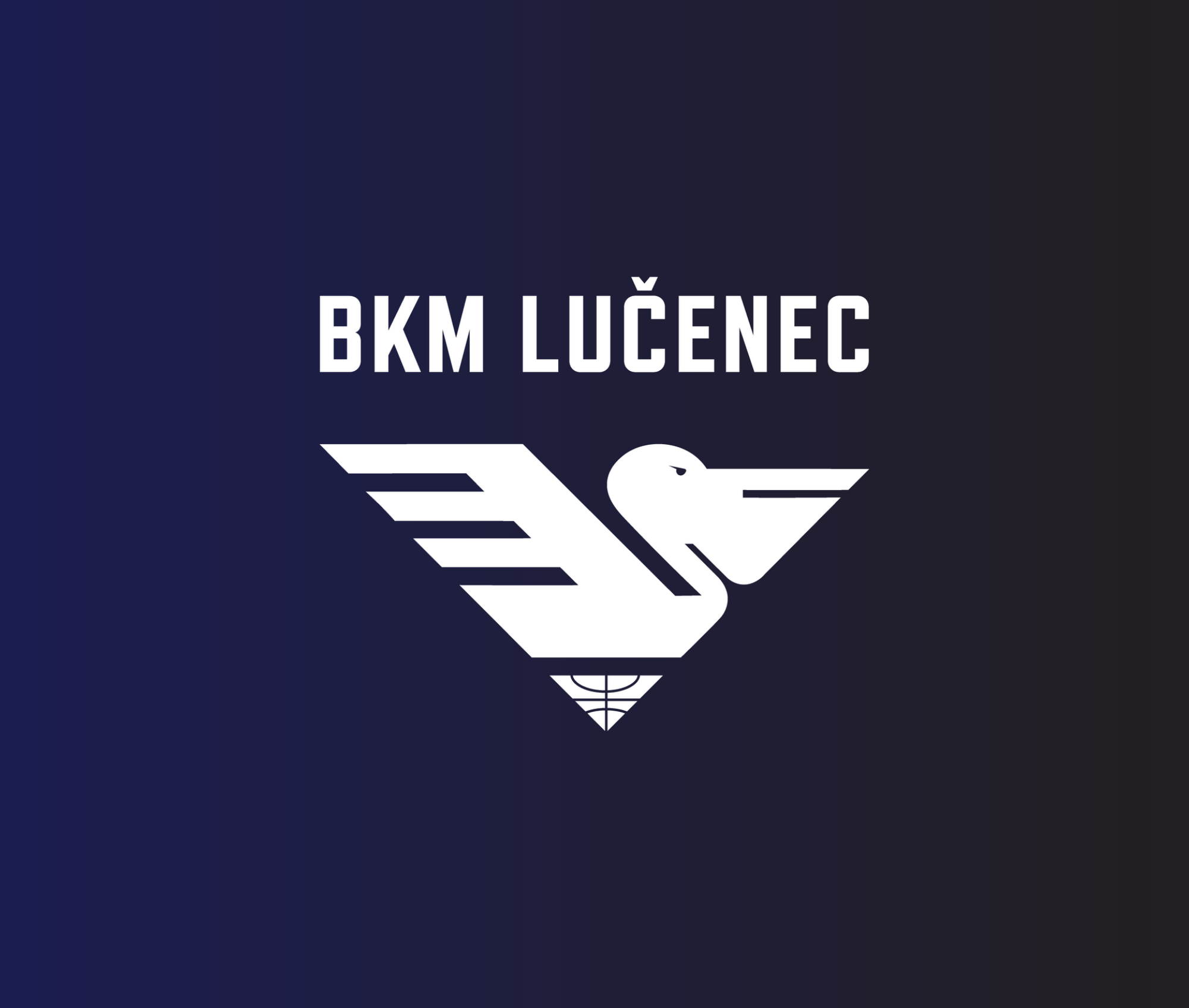 Logo & Visuel identitet for basketballklubben