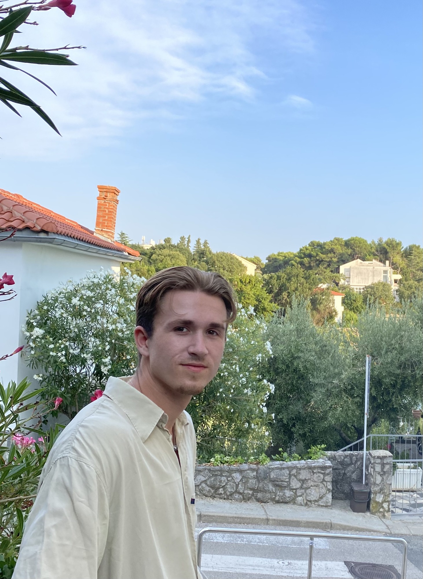 Lion Moseler Giig profilbillede