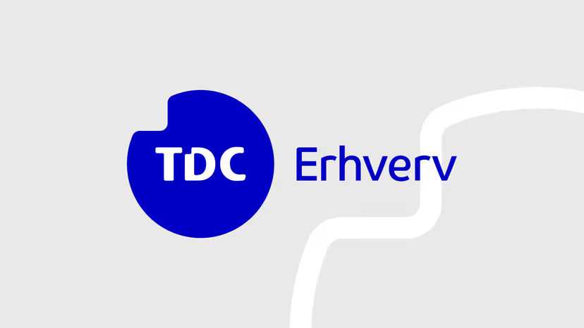 TDC Erhverv | Headless CMS applikation