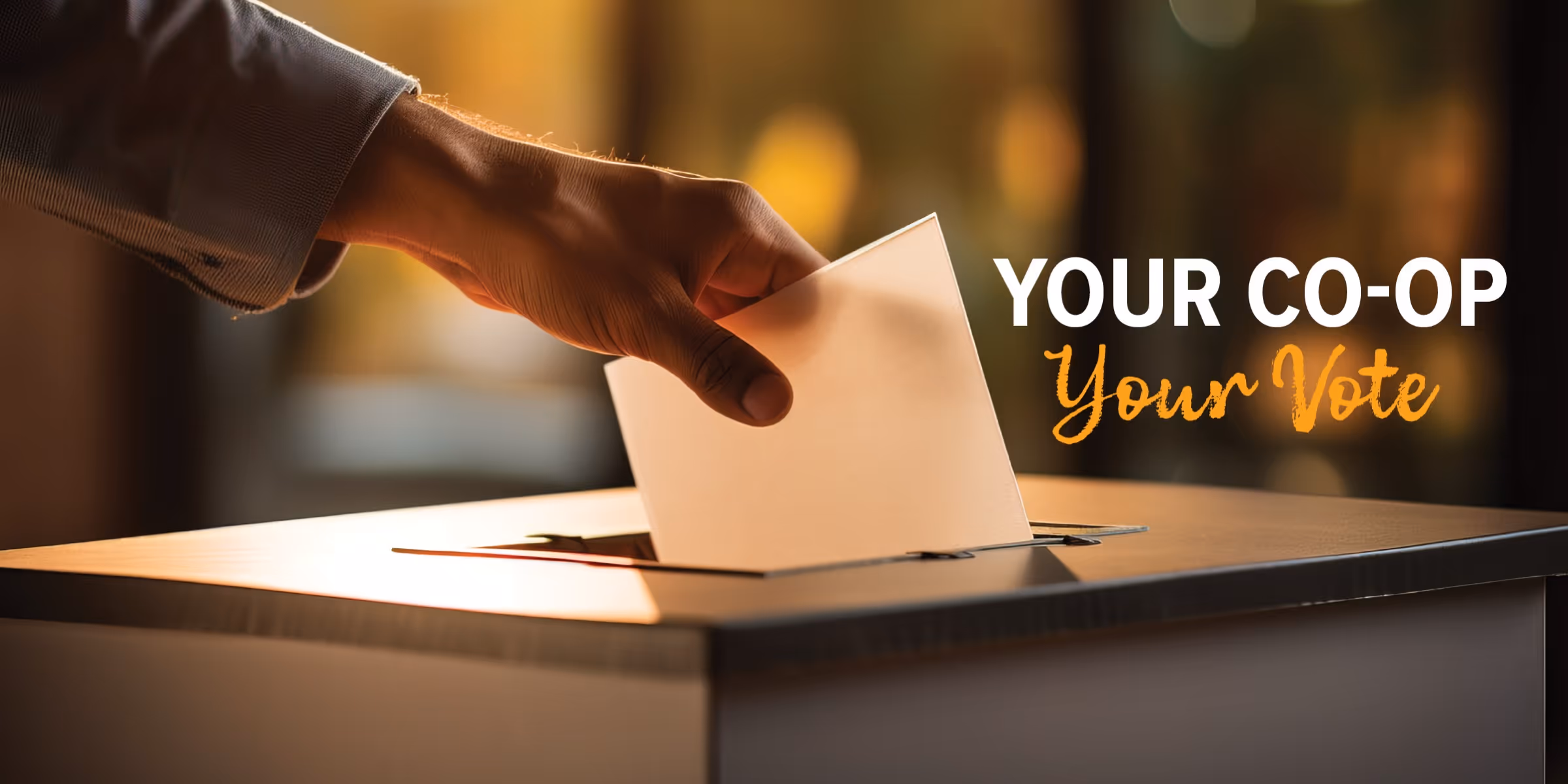 Person inserting their ballot into a ballot box