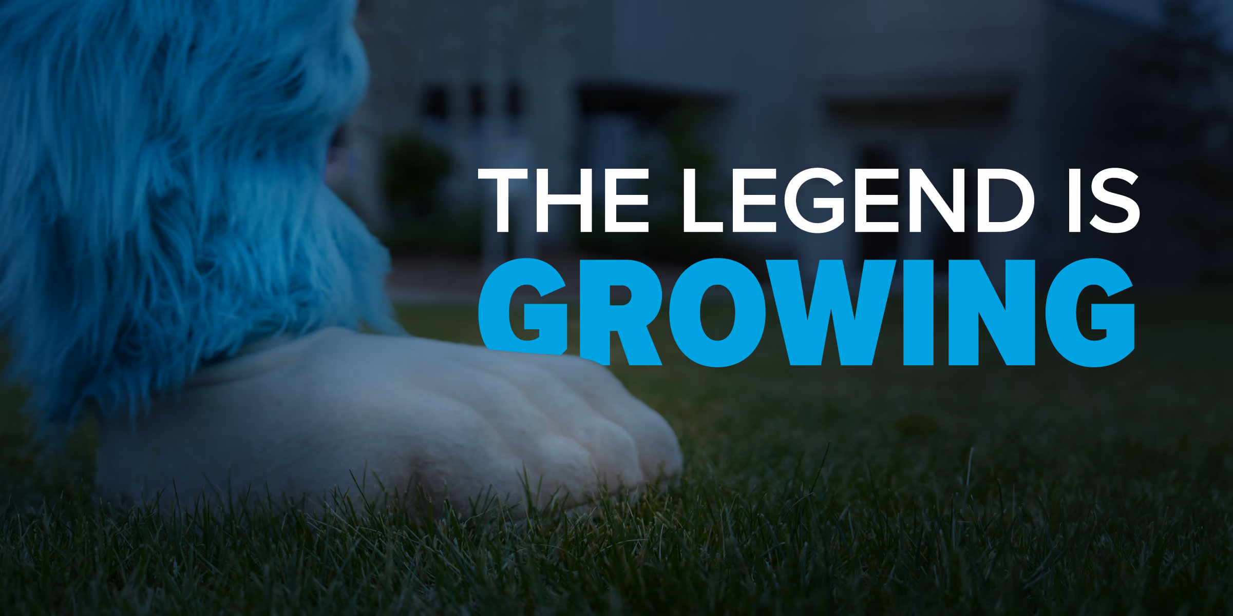 The Legend is Growing