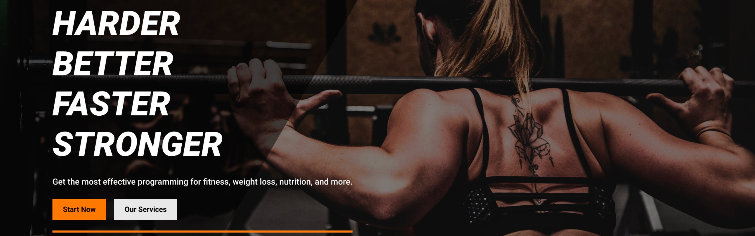 Flex Fitness Portfolio Cover