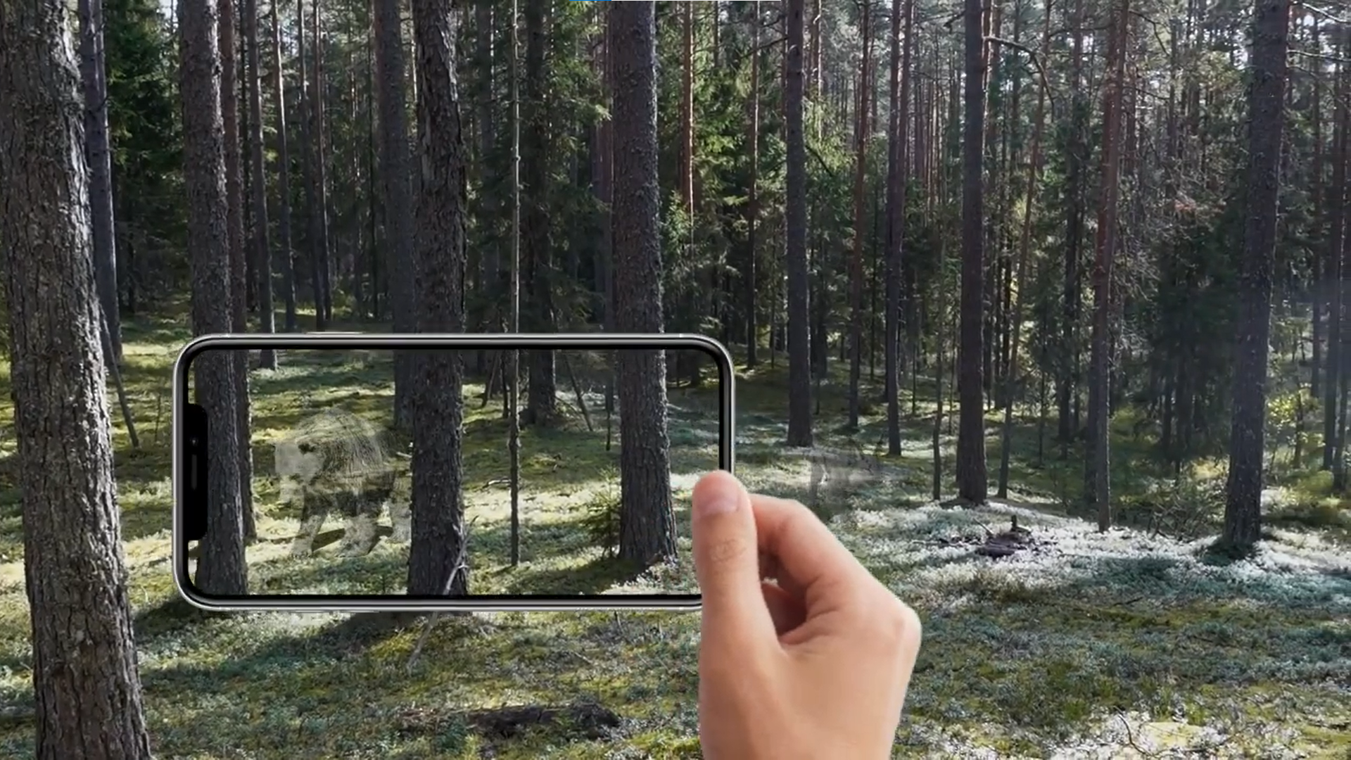 Case Study: Public Space 3D Visualization