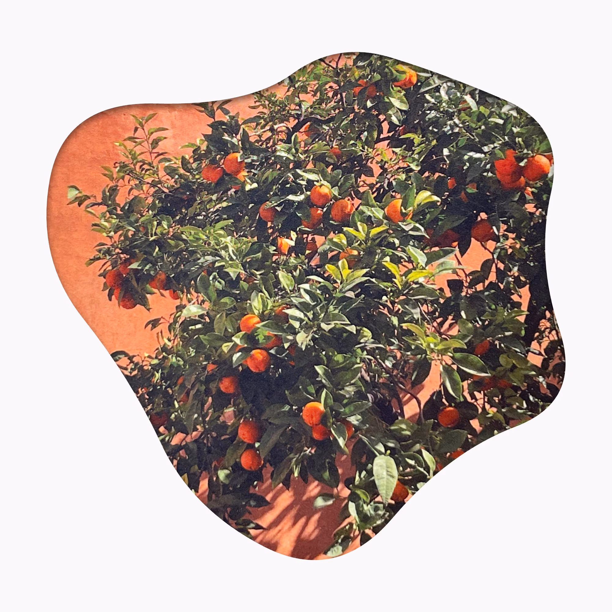 손글씨로 쓴 한국어 편지와 토끼가 떡메로 송편을 찧는 토구도 대한민국 우표, 하트가 달린 작은 오리 삽화.