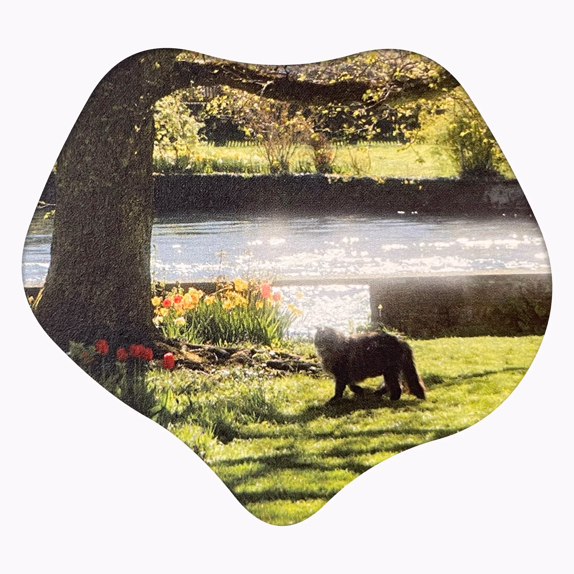 첫째 아들에게 손글씨 가득하게 쓴 편지. 오른쪽 상단에 수영하는 사람들이 그려진 우표가 부착되어 있음.