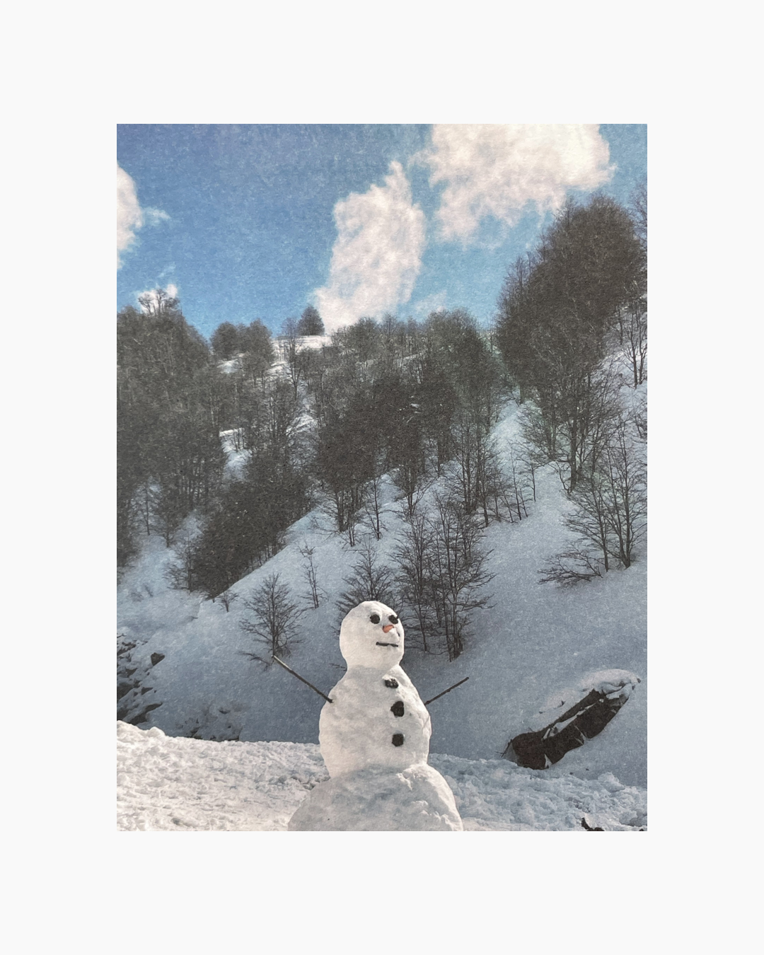 눈 덮인 산 아래에 목탄 단추와 당근 코, 막대기 팔로 만든 눈사람이 서 있다.