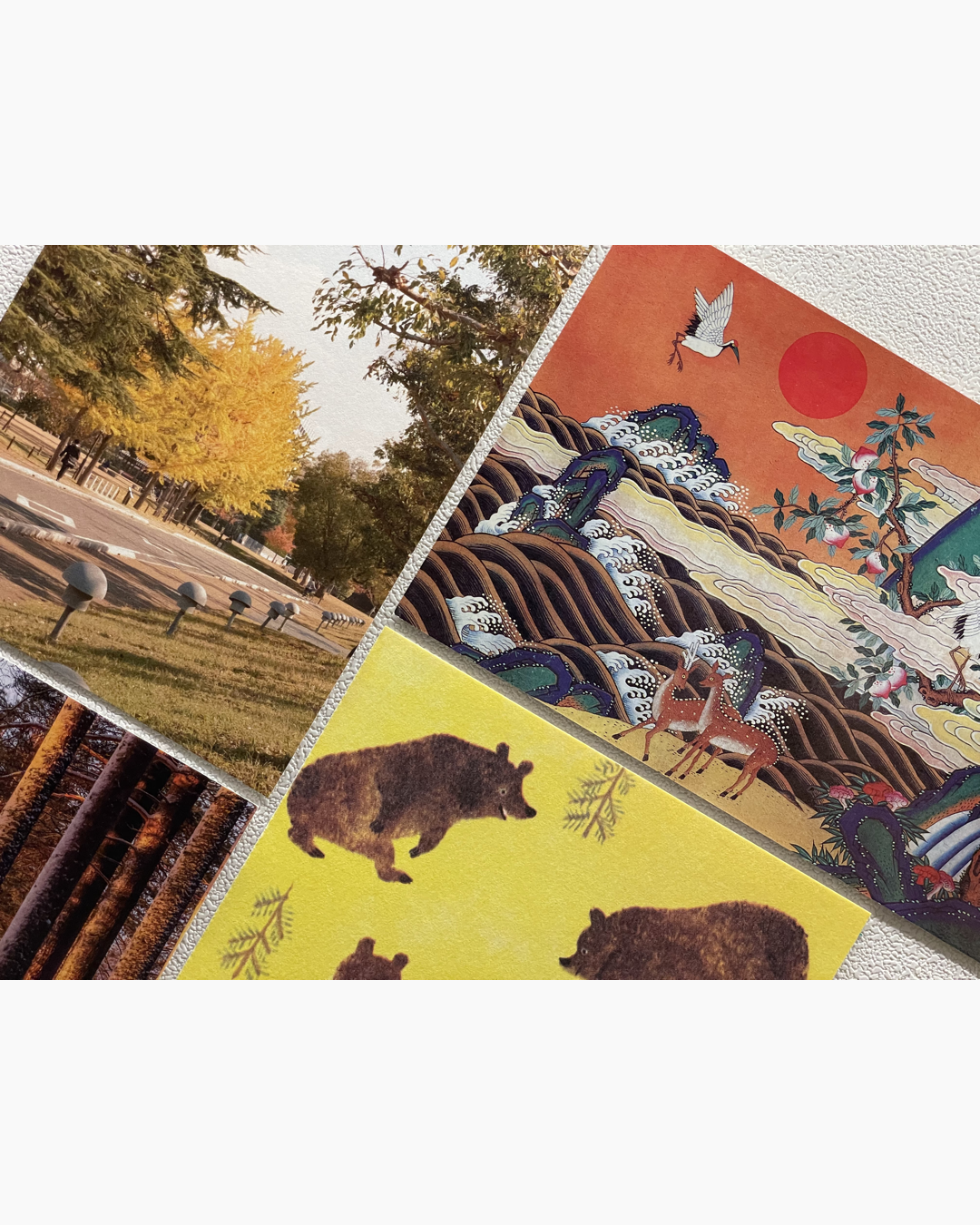 숲길과 가로등이 보이는 가을 풍경의 사진과 붉은 해와 두루미, 사슴이 있는 전통 한국화, 갈색 곰 그림이 담긴 노란색 배경의 명함들이 모여있는 모습.