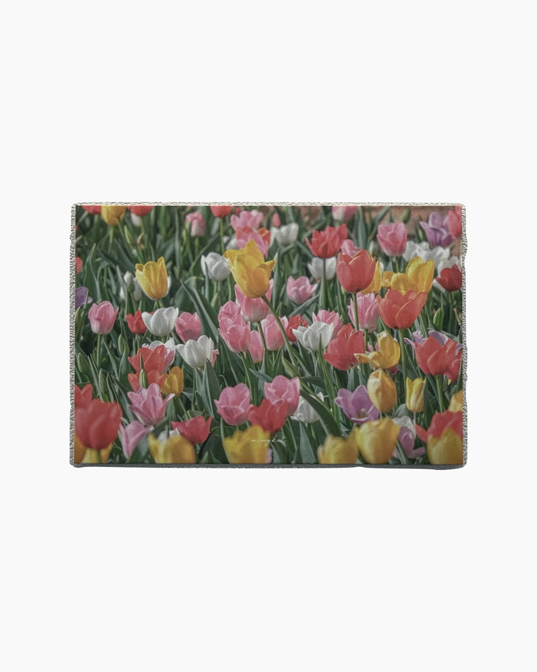 다양한 색상의 튤립들이 우거진 화단 풍경.