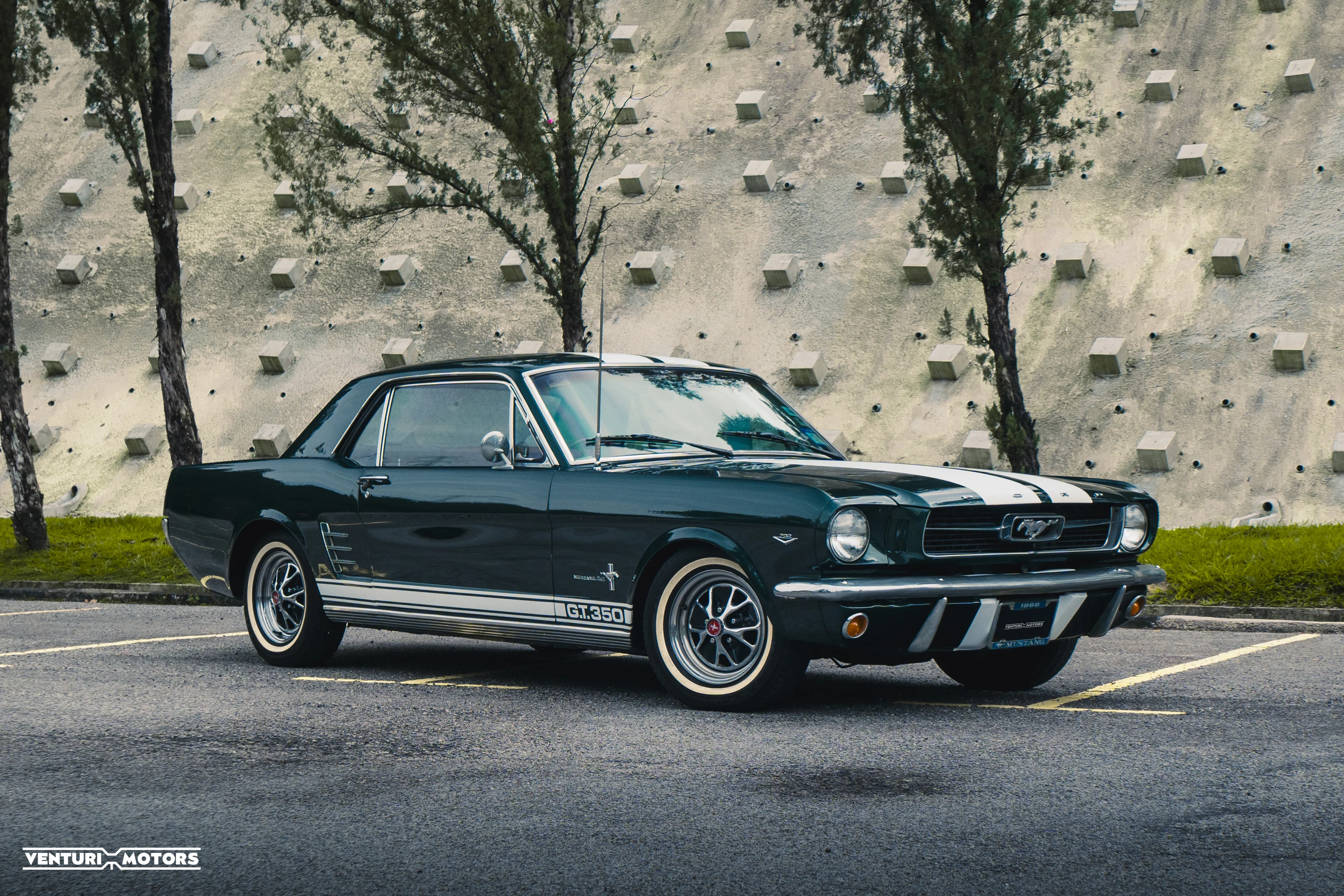 1966 Ford Mustang Coupe