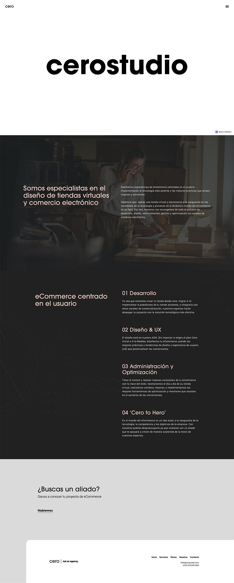 A screenshot of web page