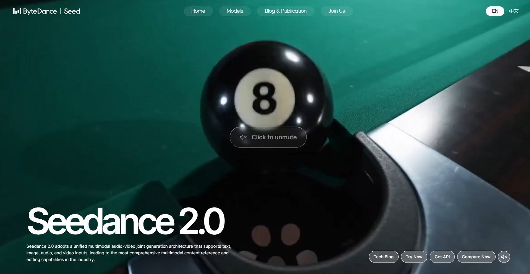 ByteDance Seed page introducing the Seedance 2.0 audio-video generation model