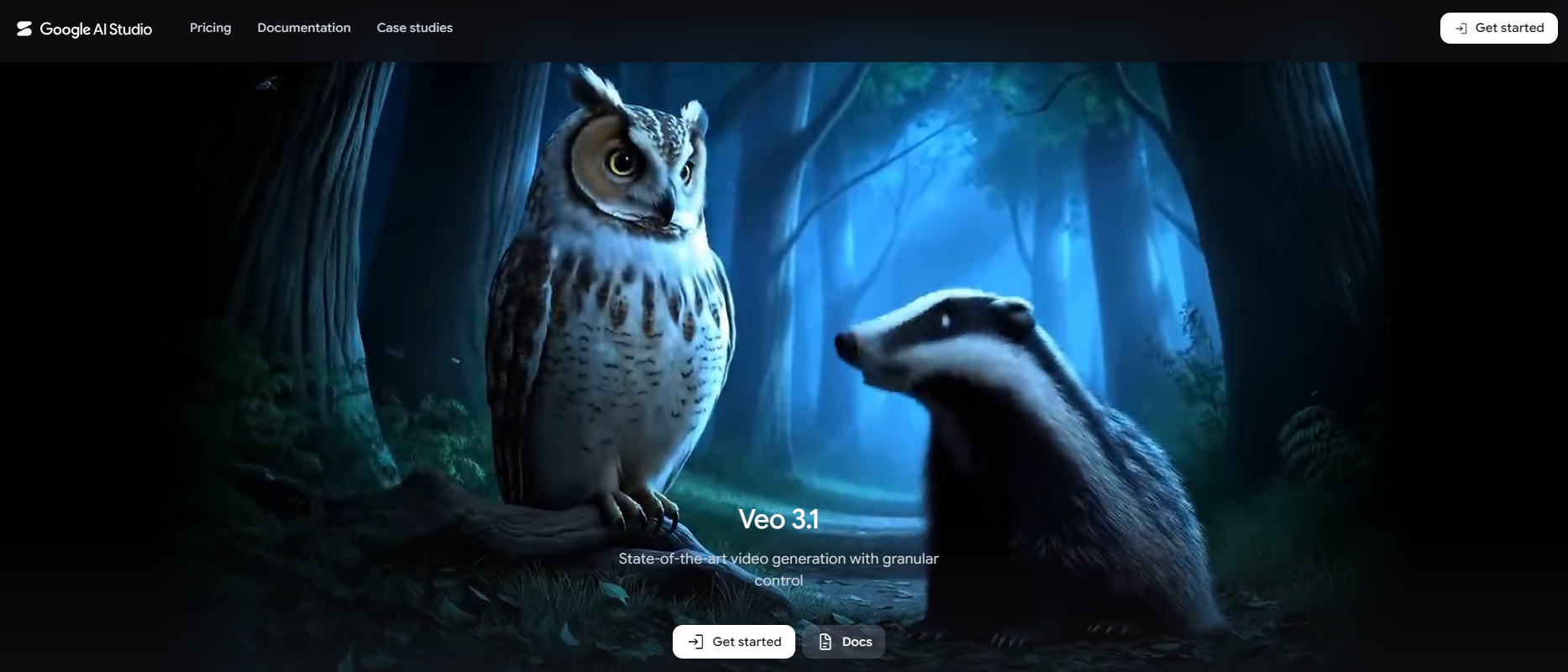 Google-AI-Studio-Seite mit Veo 3.1