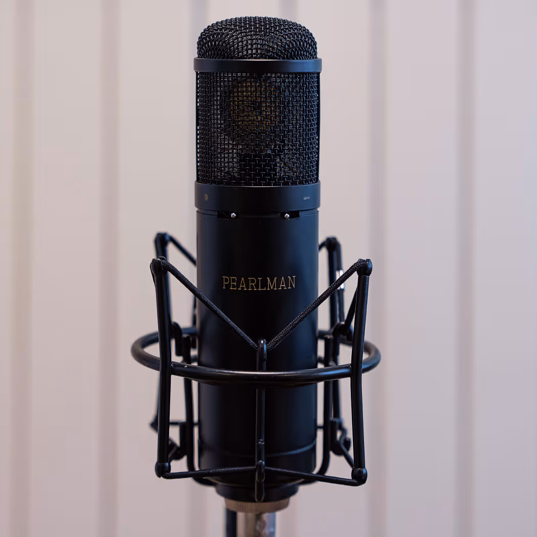 מיקרופון טיוב Pearlman TM1 על סטנד – להקלטות שירה