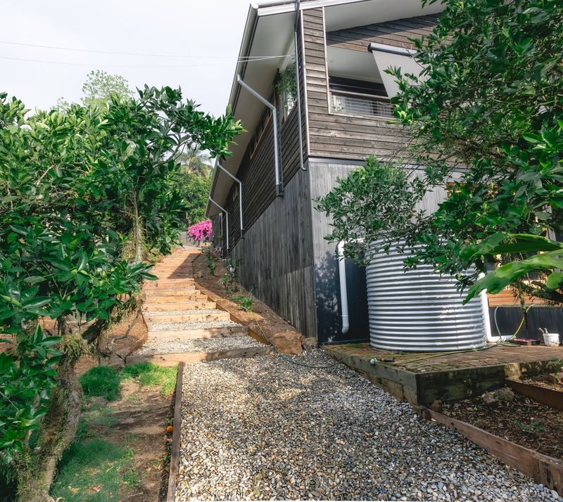 Green Frog Lane landscape project in Bangalow, published by NatureScapes Byron Bay