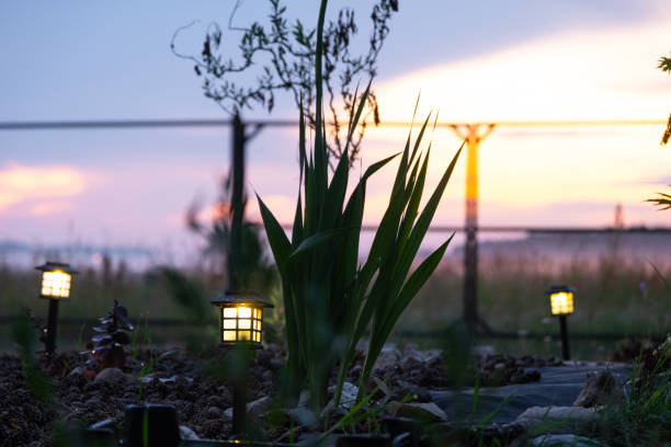 Solar Lighting Solutions for Sustainable Gardens