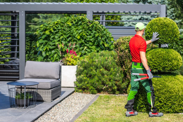 Hiring Professional Garden Maintenance Services: What to Expect