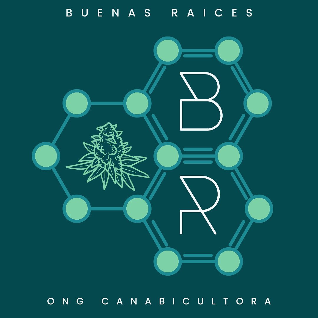Buenas Raíces ONG