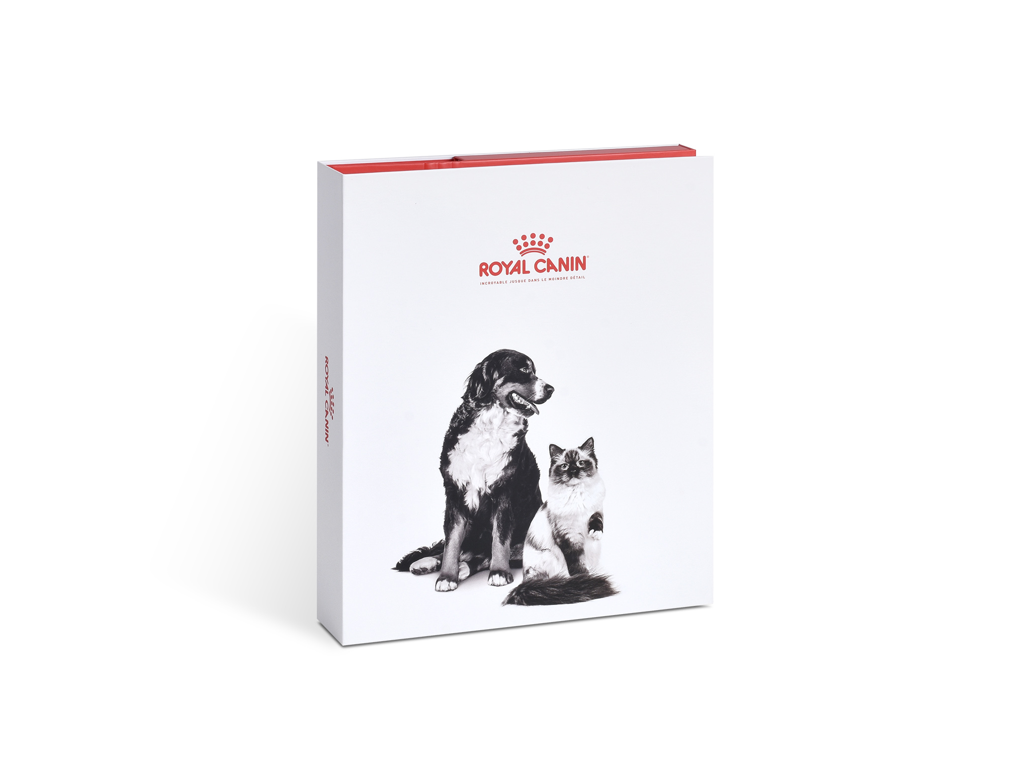 Witte A4-doosringband met bedrukking van een hond en kat