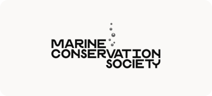 Man with beard in a blue suit and white shirt sitting at a table with clasped hands.