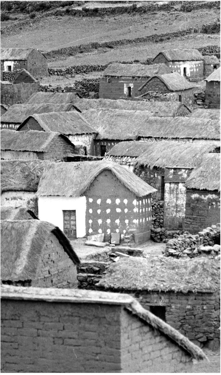 Bolivia — Village rooftops