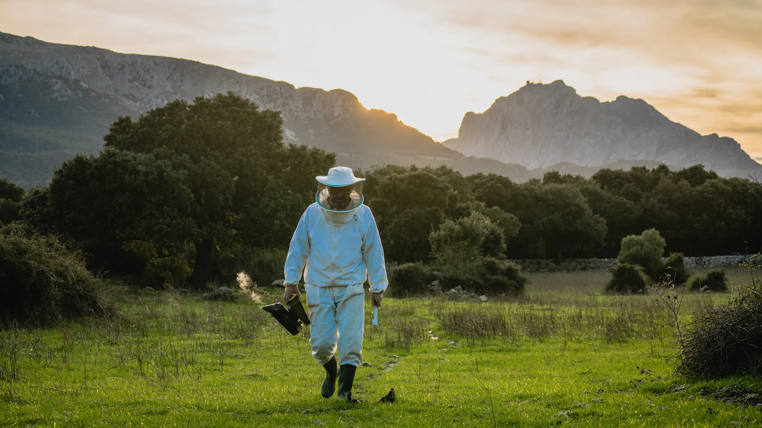 Mel Caramel: A Passion Project Becomes An Award Winning Honey from Mallorca - View Mallorca