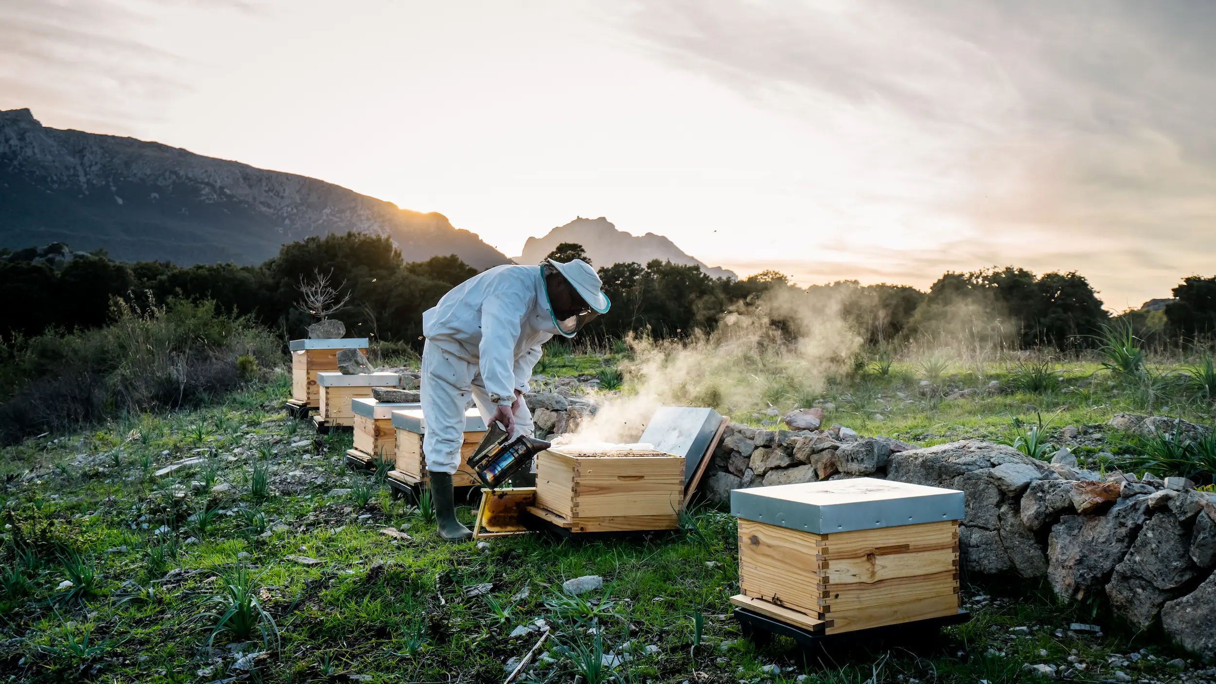 Photo by Tarek Serraj